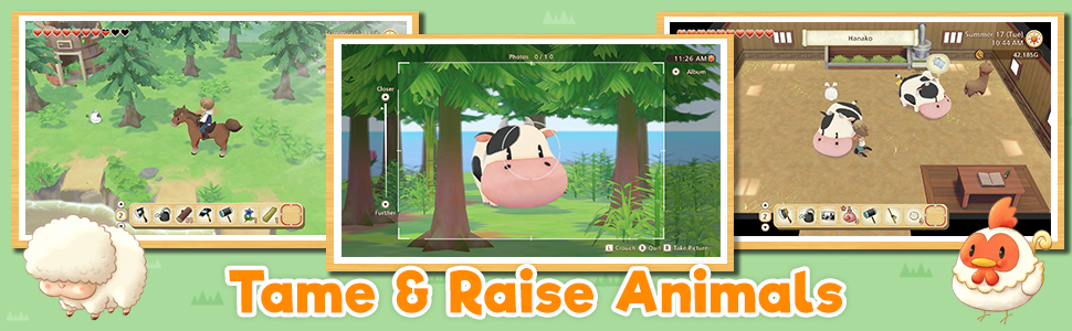 farming, farm sim, life sim, simulation, SoS, Switch, Nintendo, gaming, Xseed