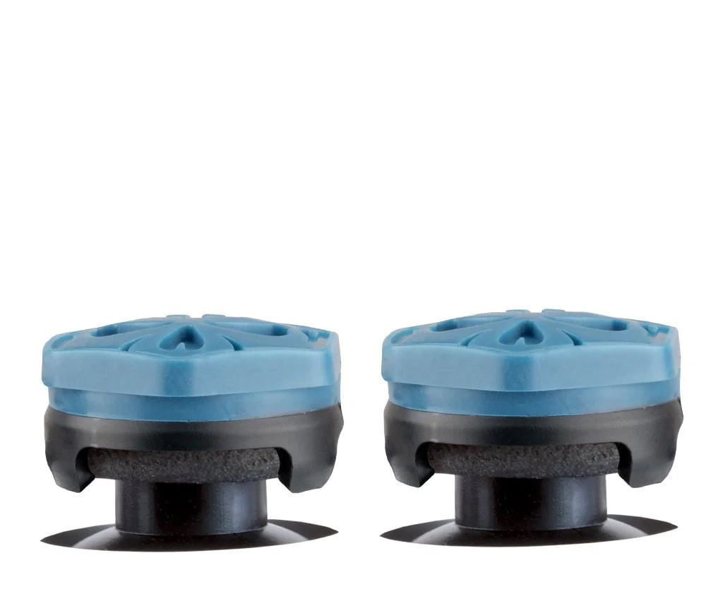 Bears-DUAL-PROFILE-01